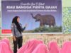 PHR Ajak Pelajar Ikut Serta Menjaga Populasi Gajah Sumatera Yang Hampir Punah